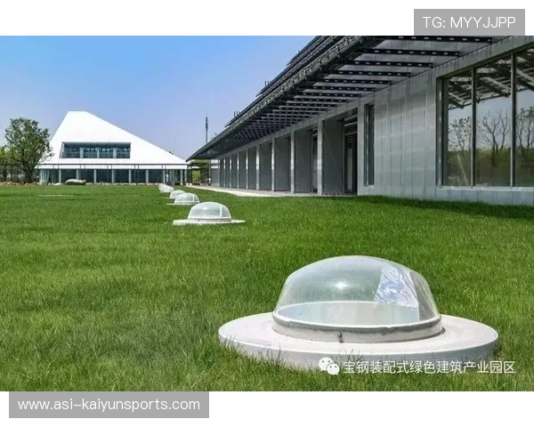 奥运场馆100%使用可再生能源，创绿色奥运纪录，奥运会再生变故