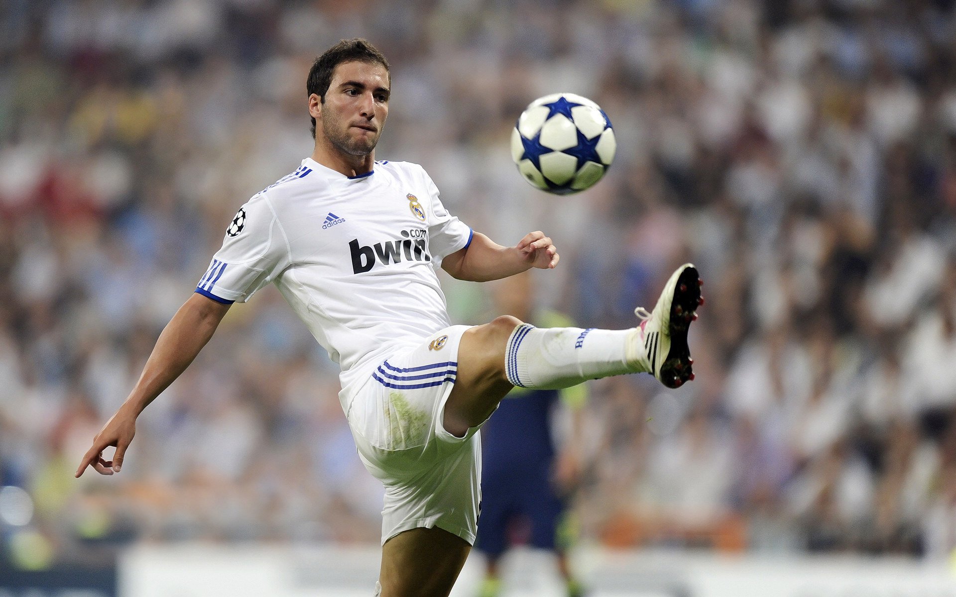 开云综合服务-公牛队逐步崭露头角，迎接未来，公牛队是啥